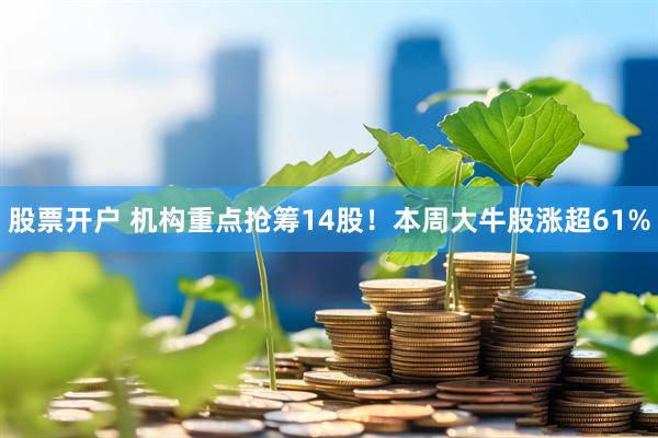 股票开户 机构重点抢筹14股！本周大牛股涨超61%
