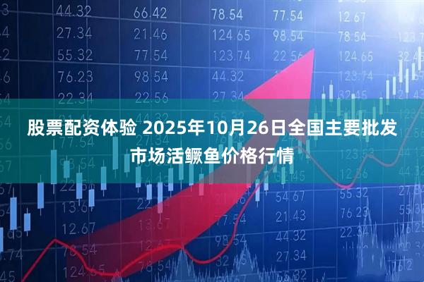 股票配资体验 2025年10月26日全国主要批发市场活鳜鱼价格行情