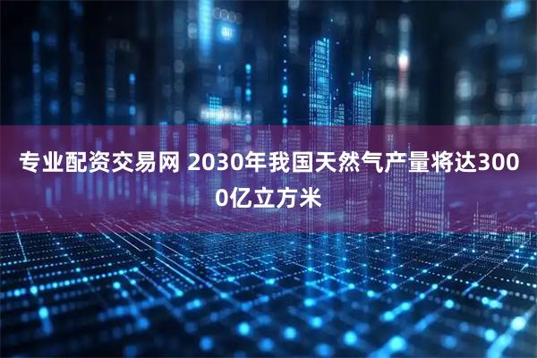 专业配资交易网 2030年我国天然气产量将达3000亿立方米